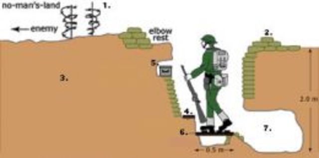 Trench Warfare