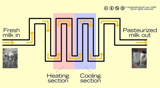 Louis Pasteur proves cells come from other cells