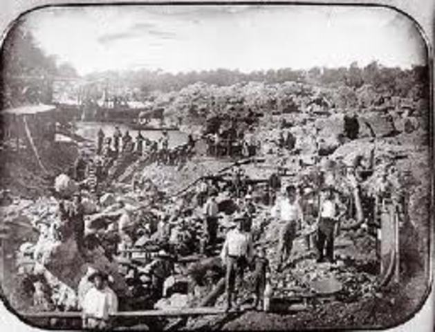 The 49er's, or The Gold Rush Begins!!!