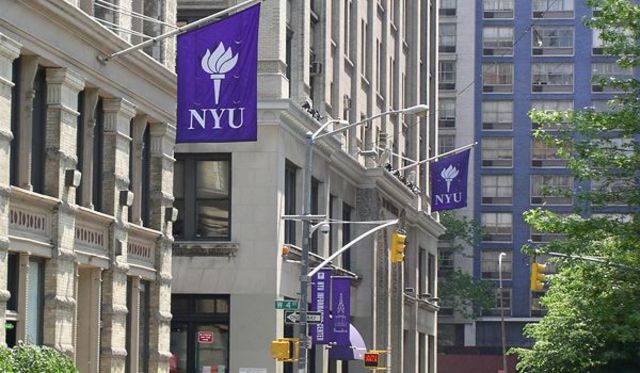New York University