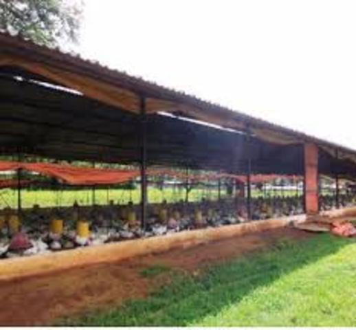 RUMBO A EJERCER LA PROFESION