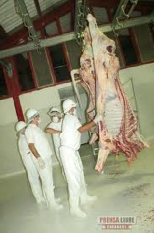 PLANTA DE BENEFICIO ANIMAL