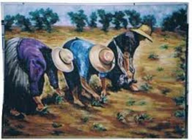 Procesos de los cultivos