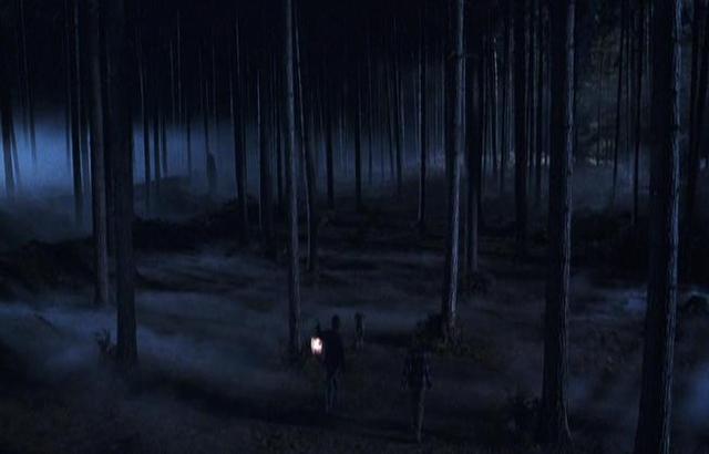 The Forbidden Forrest