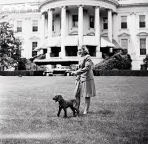 Mary recieves a Irish Setter named Mike.