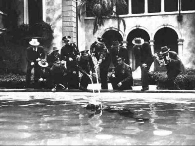 Gatsby and Wilson are dead.