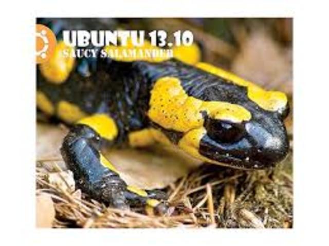 Ubuntu 13.10 (Saucy Salamander)
