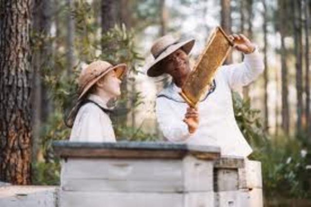 Beekeeping