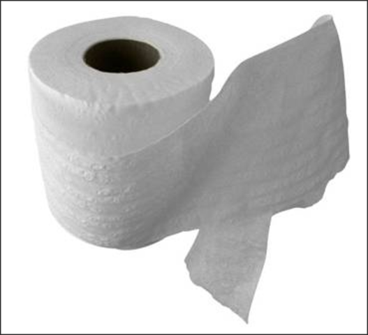 Modern Toilet Paper