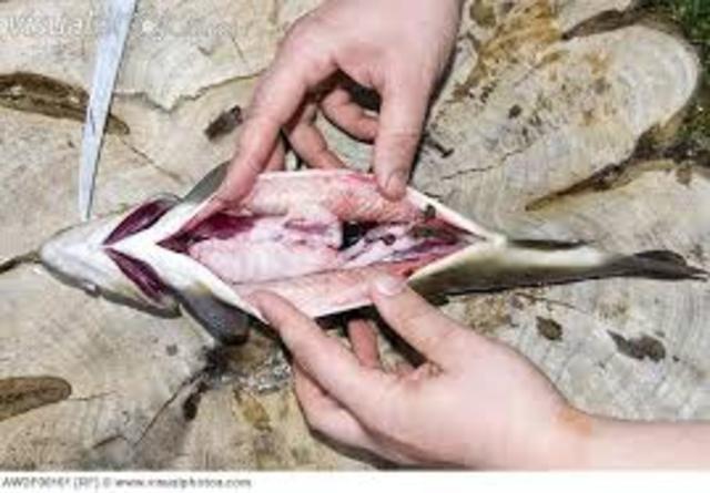 Crabbe telling Mary everything about him