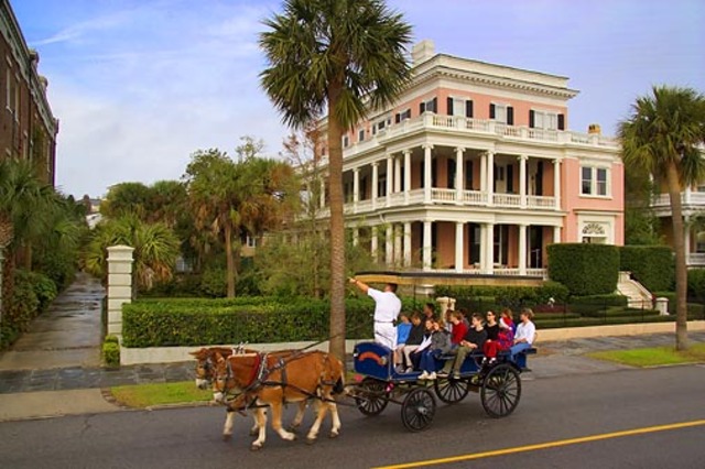 Begin leading Carriage Tours in Charleston's downtown area