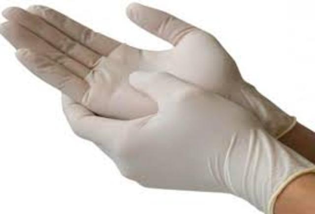 William Stewart Halsted