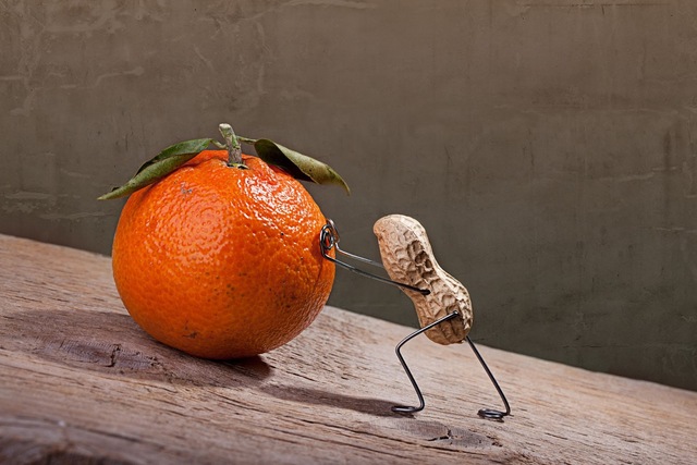 Nueva fecha de entrega del proyecto