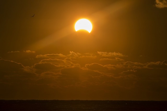 Turner has his first vision