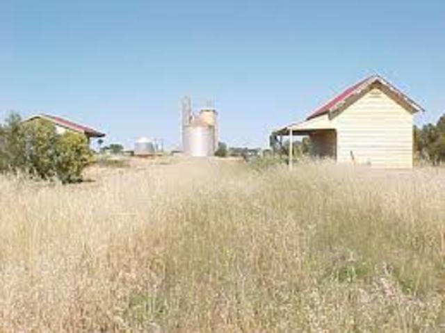 Great Grandmother was born