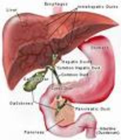 My mom had a gall bladder attack!!