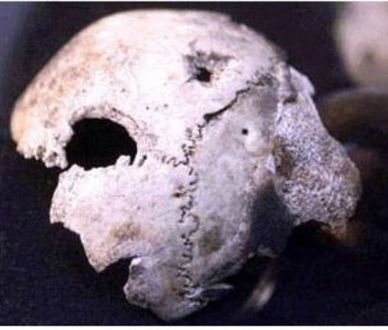 Adolf Hitler Suicide