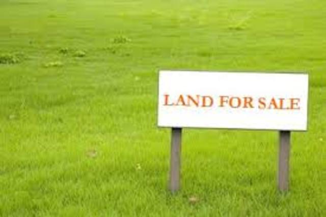 No land