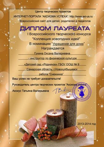 Достижения сотрудников 2013