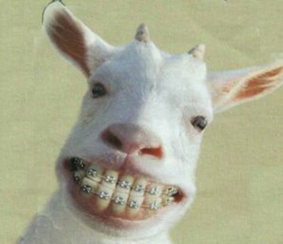 6 years in the primery school