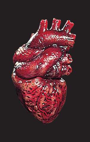 First Heart Transplant