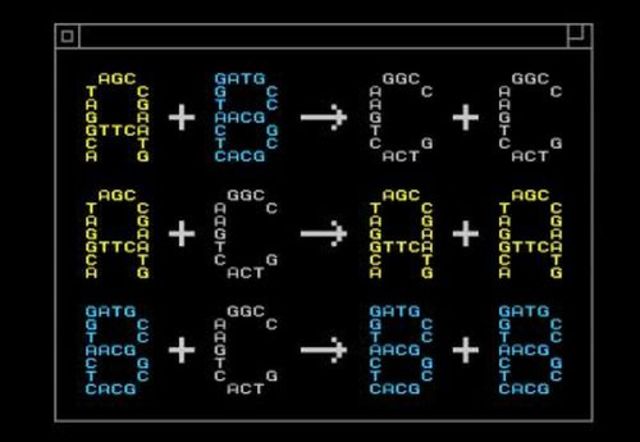 Специальные языки программирования