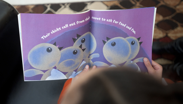 Energizing Education launches Grass Lake