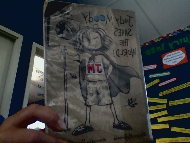 Judy moody saves the world