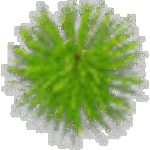 My daughter was born