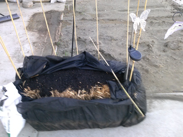 More digging in the dirt