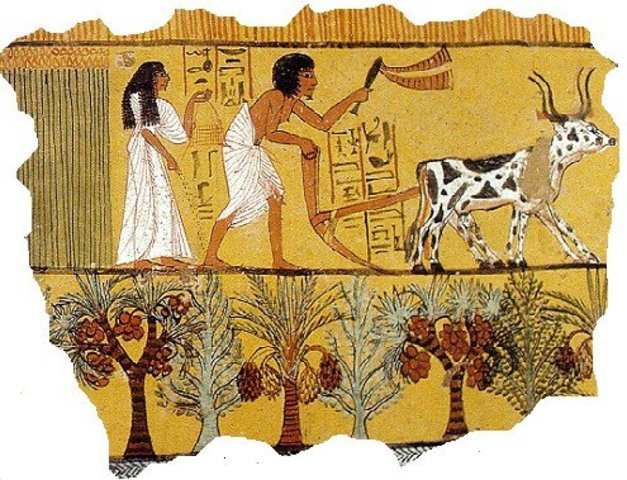 Farm and Trade Theme 4