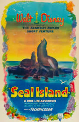 Walt Wins One Academy Award