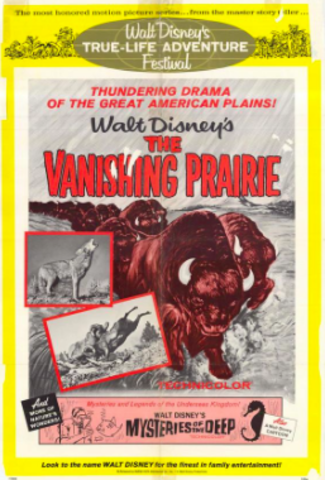 Walt Wins One Academy Award