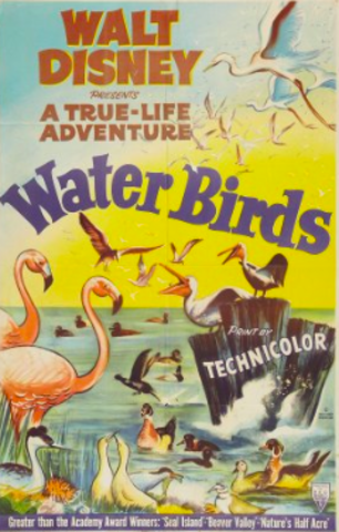 Walt Wins One Academy Award