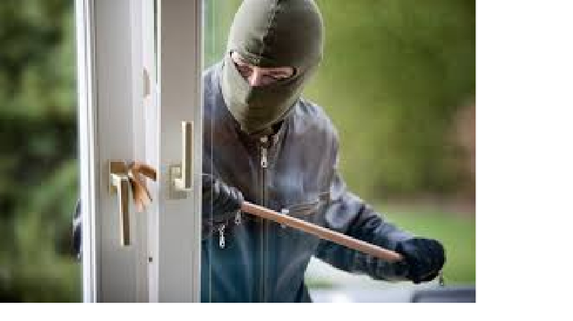 Nic robbing the house