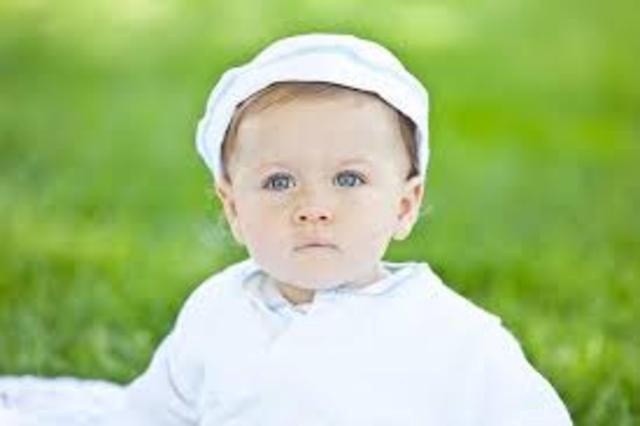 Japer is born; Daisy is born three years later