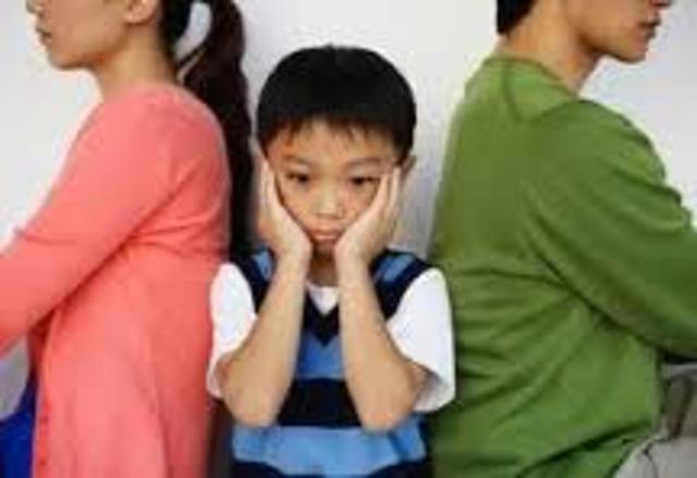 Vicki and David Sheff get a divorce