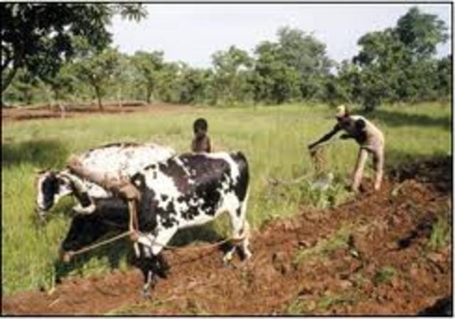 Agricultural revolution