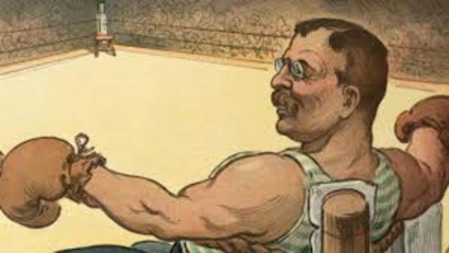 Teddy returns to Politics