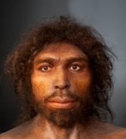 Homo Antecessor (hace 900.000 años)
