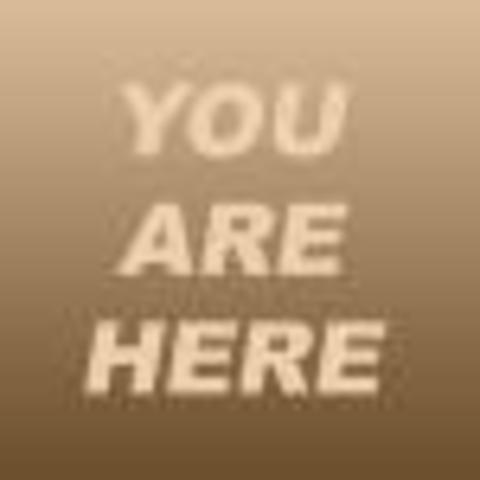 Homo Sapiens Sapiens (hace 45.000 años)