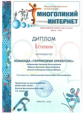 Многоликий интернет 2014
