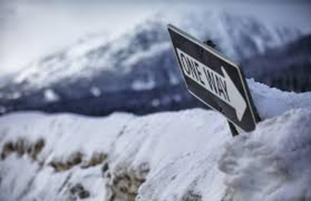 Crabbe Leaves For Good