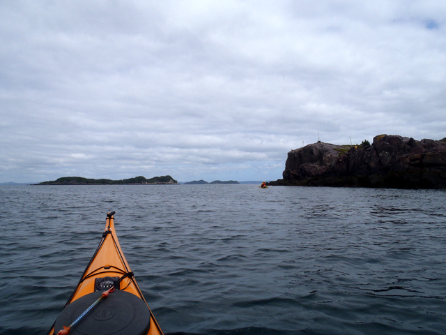 crabbe returns to civilization