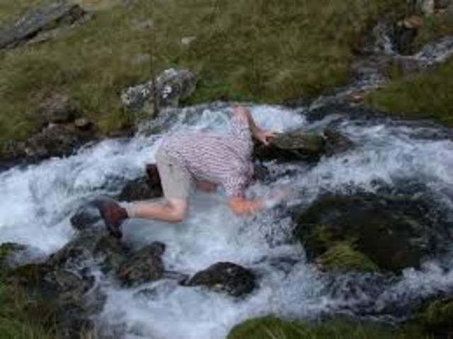 learning how to surviev