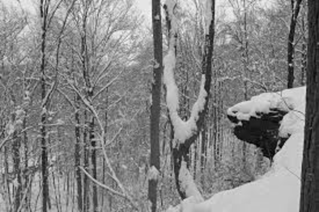 The journy back to civilization