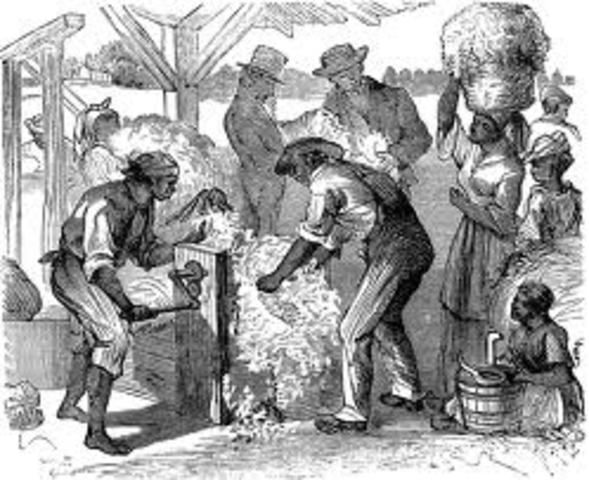 Invention of the cotton gin