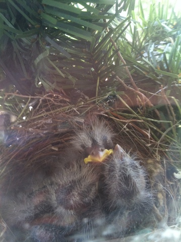 Our friendly baby posing for a picture!