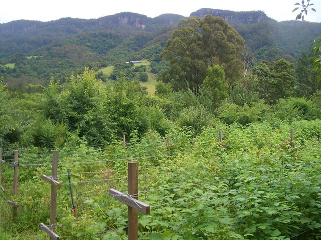 Agriculturaly based villages begin popping up. (600 A.D.)