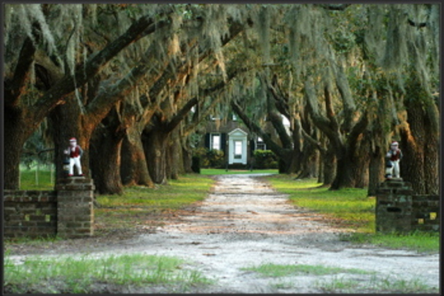 Move to retirement dream home